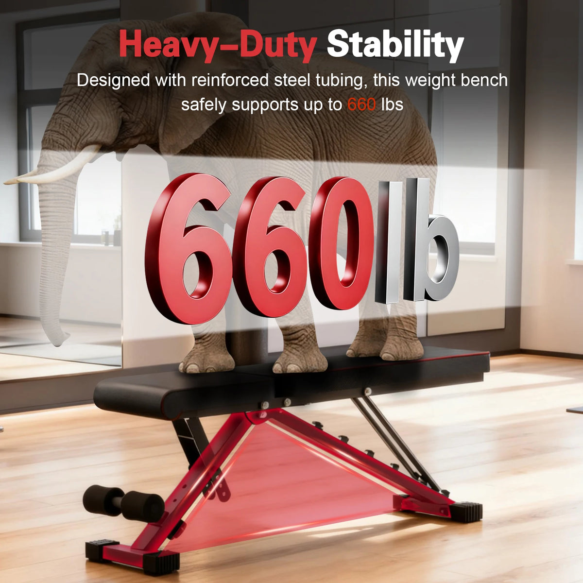 Multifunctional Adjustable Weight Bench For Home Gym Training